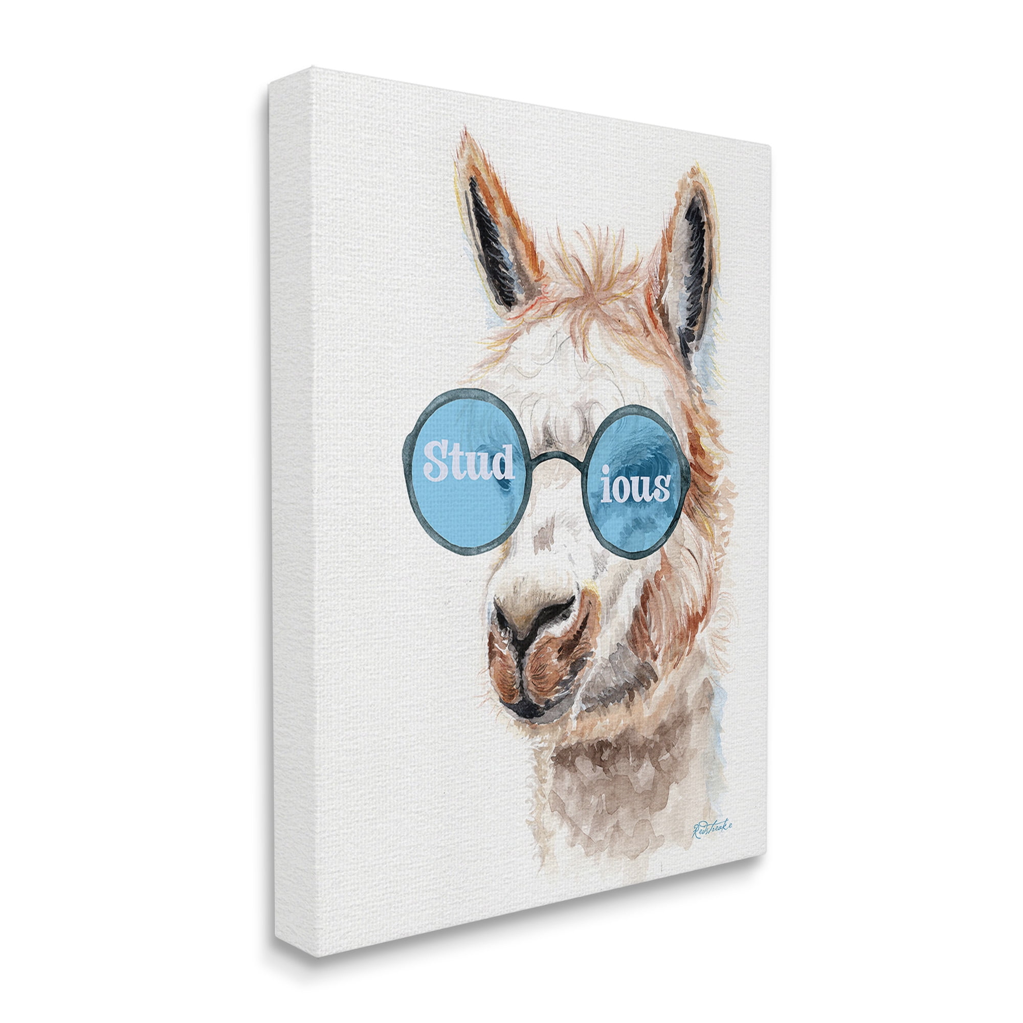Stupell Industries Stud-ious Funny Llama Animals & Insects Painting Gallery Wrapped Canvas Art Print Wall Art, 16 x 20