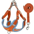 thumbnail image 3 of Deago No Pull Dog Harness and Leash Set Soft Suede Pet Harness Reflective Adjustable Puppy Vest for Small Medium Dogs (Orange, XL), 3 of 8