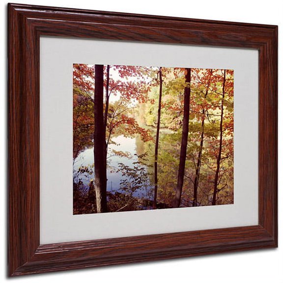 Trademark Art 'A Secret Pond' Framed Matted Art by Kurt Shaffer