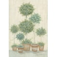 thumbnail image 4 of Annie LaPoint 14x18 Black Modern Wood Framed Wall Art Titled - Tall Topiaries, 4 of 6