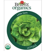 Burpee Little Gem Lettuce 1 Pack Annual, Vegetable