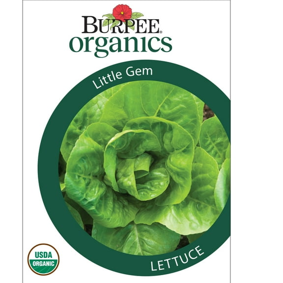 Burpee Little Gem Lettuce 1 Pack Annual, Vegetable