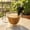 Black49, variant on Wind Up Cup Clip Stirrer, Mini Outboard Motor Shape Mixing Gadget, Spring Mechanical Blender, Portable Powder Drink Mixer Tool For Coffee Beverage Preparation