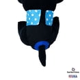 thumbnail image 4 of Barkertime Sky Blue Polka Dot on Black Dog Diaper, 4 of 6
