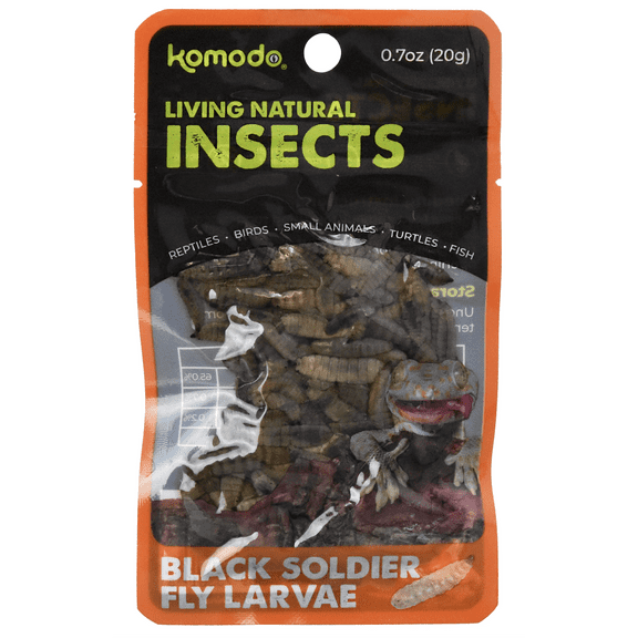 Komodo Black Soldier Fly Larvae Reptile Food