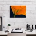 thumbnail image 3 of Epic Graffiti 'Lily Dressed In Orange' by Pamela Plummer, Canvas Wall Art, 16"x12", 3 of 8