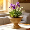 thumbnail image 4 of Tong Southern Patio Dynamic Design Outdoor Home Resin Versatile Planter For Entryways And Backyard Patios White, 4 of 4