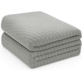 thumbnail image 1 of Set de 2 Cobijas King Size Bluelander, Diseño de Cuadros, Franela 100% Poliéster Ultrasuave, Gris, 1 of 5