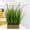20" Grass Plant, variant on Olive 21'' Tall Artificial Olive Branches with Lifelike Leaves in Oval Rattan Woven Planter Faux Rustic Tabletop Greenery for Living Room Kitchen Bedroom Office Decor