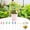 D, variant on POLISE Spaces 20 Pcs Dragonflies Iron Garden Stakes Insert Dragonfly Yard Ornaments for Flower Pots Outdoor Patio Lawn