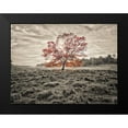 thumbnail image 2 of Frank, Assaf 24x19 Black Modern Framed Museum Art Print Titled - Single tree at autumn, 2 of 5