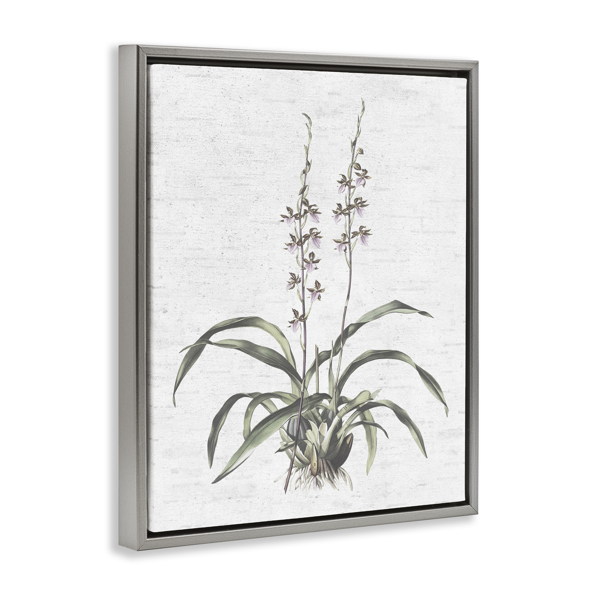 Stupell Industries Blooming Herb Bud Botanical & Floral Painting Gray Floater Framed Art Print Wall Art, 25 x 31