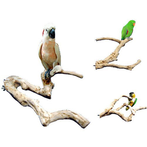 A&E Cage Company Java Wood Multi Branch Bird Perches Small 