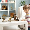 thumbnail image 5 of Dinosaur Fossil Skeleton (12 Pieces) Assorted Figures Dinosaur Toys For Kids, 5 of 5