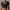Black, variant on WXLWZYWL Fall Savings Clearance 2024 Womens Cutout Front Crop Tops Short Sleeves Round Neck Hollow Ribbed Fitted Casual Athletic Gym Tops Dance Yoga Activewear T-Shirts
