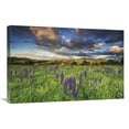 thumbnail image 1 of Global Gallery's 'Lupine Sunset' By Katherine Gendreau Stretched Canvas Wall Art, 1 of 4