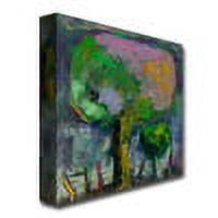 Trademark Fine Art "Manzano de Noche" Canvas Art by Boyer