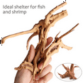 thumbnail image 2 of Mini Driftwood for Aquarium Natural Wood Branches Fish Tank Decorations Reptiles Tree Trunk Driftwood Assorted(10 Pack), 2 of 4