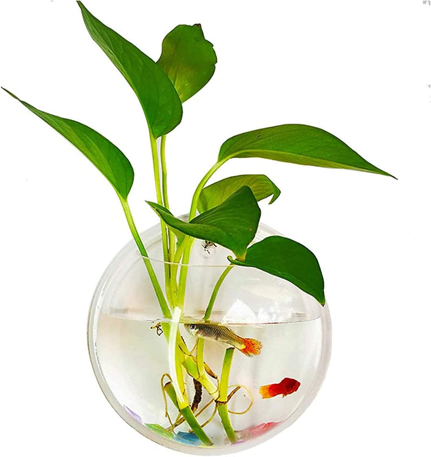 Mightlink Wall Fish Bowl Acrylic Hanging Aquarium Wall Mounted Bubble