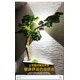 thumbnail image 1 of lámparas ajustables de pared exterior, lámparas de pared interior ip65 impermeables, adecuadas para dormitorios, pasillos familiares, salas de estar Zefei Wu  9024735021902, 1 of 5