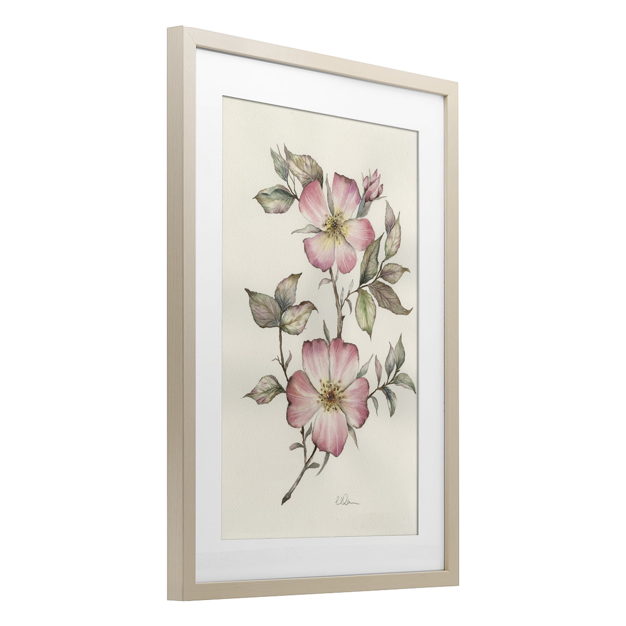 Stupell Industries Two Flowers Natural Study Birch Framed Print Under Glass, design by Cady Driver