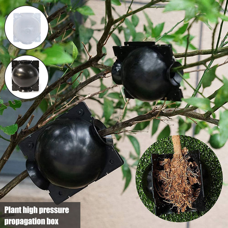 High Pressure Plant Root Growing Box AirLayering Pods Damage Free