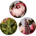 thumbnail image 2 of Ramo de flores artificiales de seda ZHCH ramo de peonías artificiales 13 cabezas falsas vintage rojo oscuro, 2 of 5