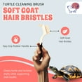 thumbnail image 2 of Turtle Cleaning Brush Remove Aquatic Mud, Dirt, & Contaminants from Tortoises Shells & Promoting Shell Health - Goat Hair Bristle Brush with Grip Rubber Handle - White by Snout and Shell, 2 of 8
