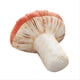 thumbnail image 1 of Simulated Mushroom Funny Plant Pillow Cushion Plush Toy Gift, 20cm, 1 of 5