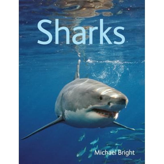 Pre-Owned Sharks (Paperback) 1554079888 9781554079889