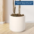thumbnail image 6 of 6 ft Artificial Eucalyptus Tree in Pot,Realistic Olive Tree with Slender Leaves&Natural Branch for Indoor Home Office Decor,Faux Olive Tree for Living Room,Bedroom, 6 of 10
