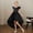 Black, variant on Girls Holiday Dresses Tutu Birthday Dress Kids Pageant Dresses for Girls 7-8 Years