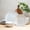 Spidy White, variant on Ceramic Dinnerware Set Serive for 4 (12 Pieces), Stoneware Plates and Bowls for Dining  White Dishes Set With DOTDOT Design, Microwave Safe (12 PCS Dishes and Bow set, Bijou Collection)