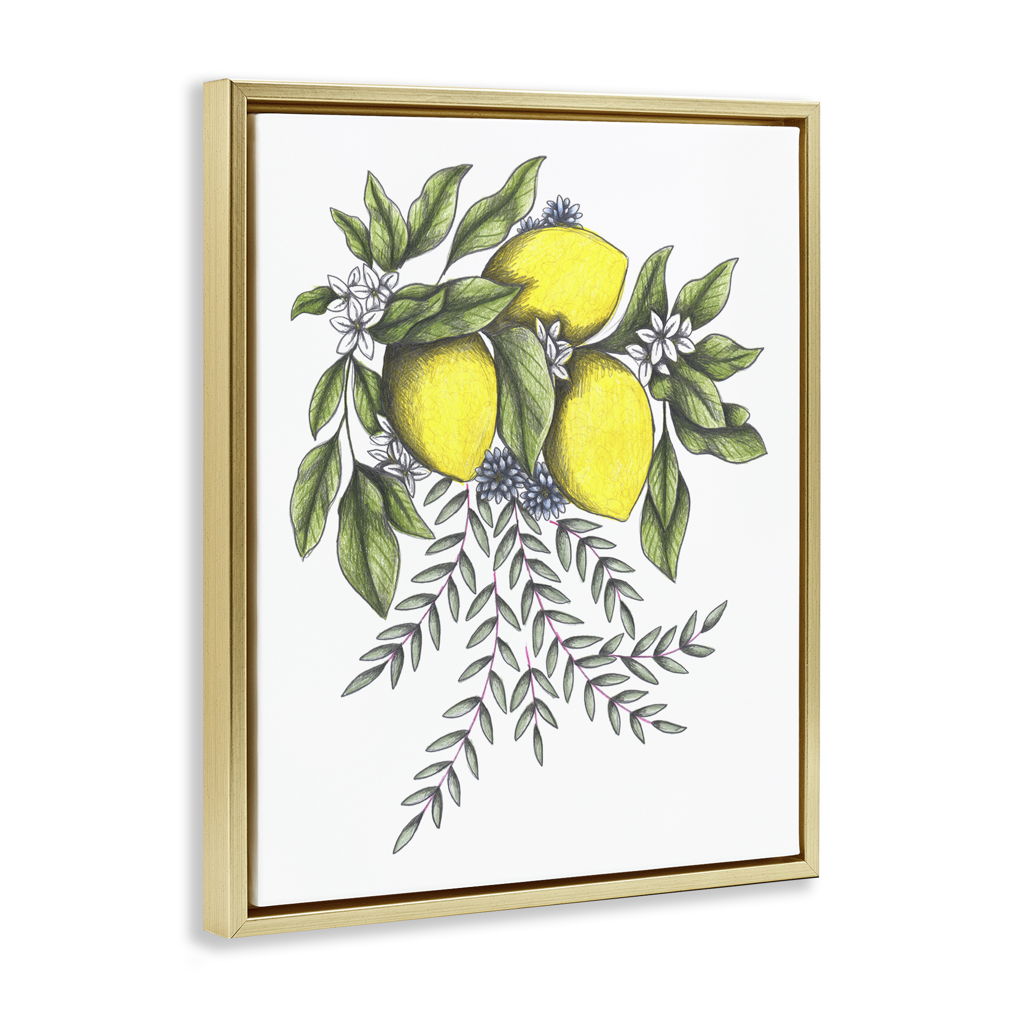 Lemons & Flowers Vintage Sketch Gold Framed Floater Canvas Wall Art, design by Cecilia Battaini