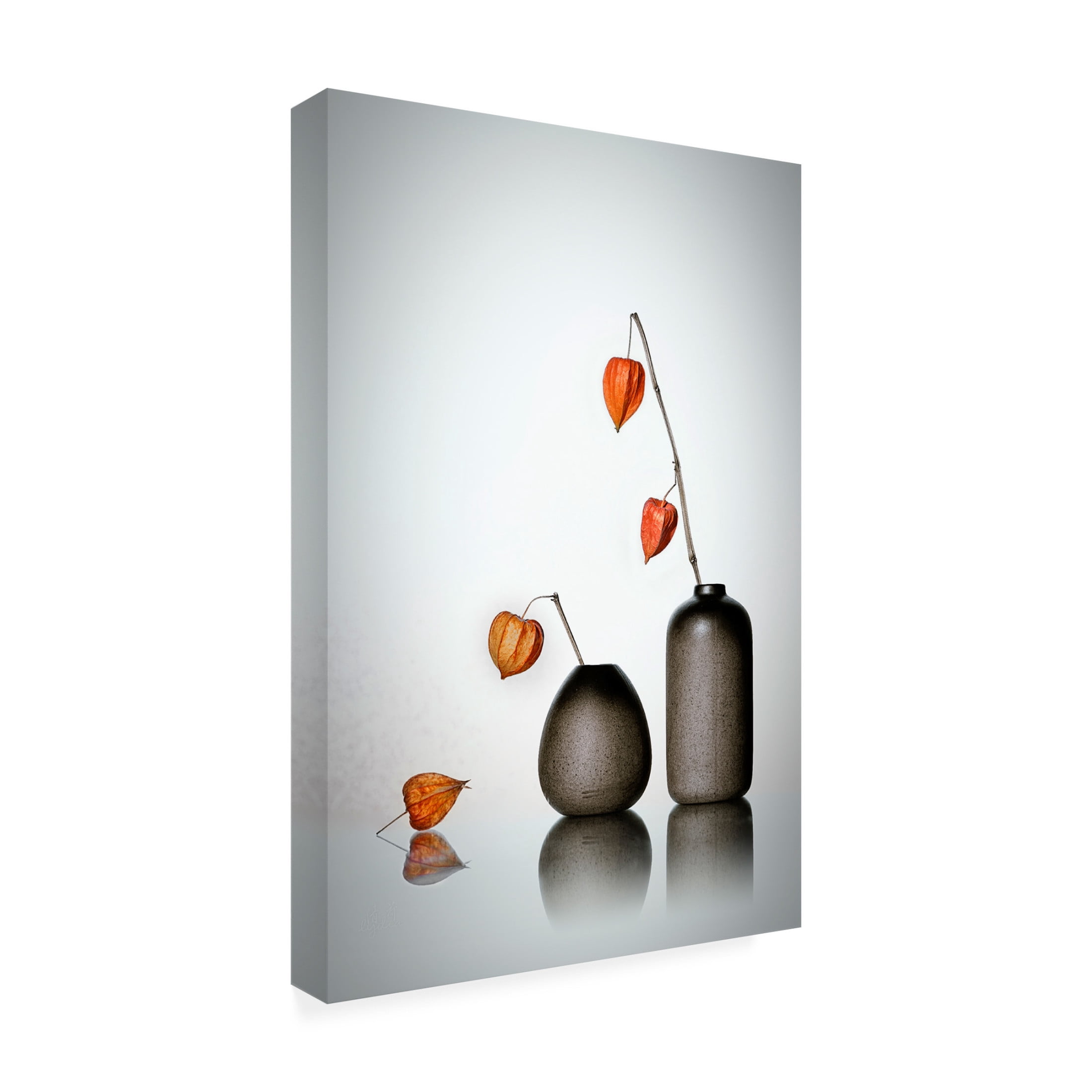 Canvas Wall Art - Lydia Jacobs 'Hello' Wall Art for Living Room, Bedroom, or Office Décor by Trademark Fine Art - 12 x 19 Inches