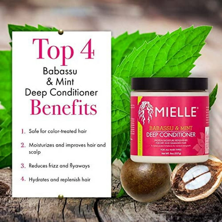 Mielle Organics Babassu & Mint Deep Conditioner with Protein, Moisturizing  & Conditioning Deep Treatment, Hydrating Repair for Dry, Damaged, & Frizzy