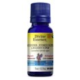 thumbnail image 1 of Divine Essence - Organic Lavender Hybrid Super Essential Oil | Multiple Sizes, 1 of 2