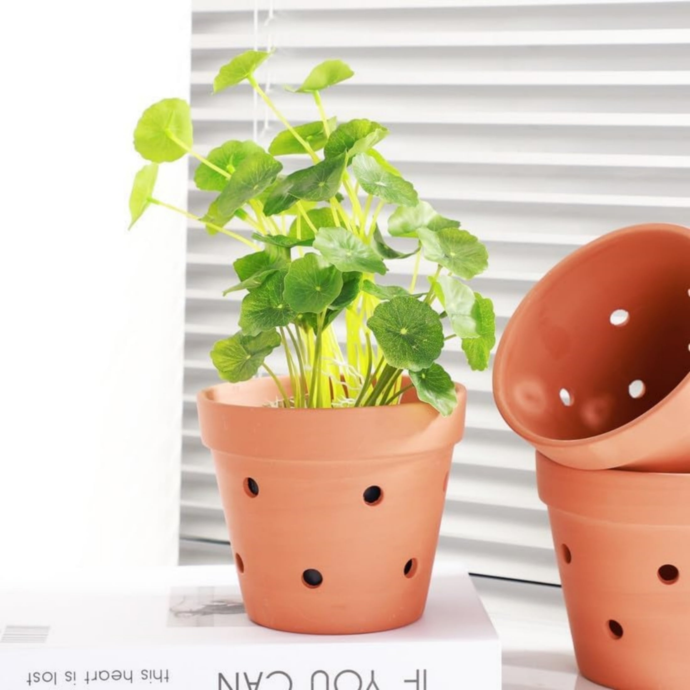 8 Pcs 4.5 Inches Terracotta Orchid Pots with Holes