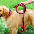 thumbnail image 2 of Juego de correa y collar de nailon duradero de 1,3 m para perros, cuerda de tracción, accesorios para pasear perros medianos y grandes, arnés para perros con cadena en P para labradores y huskys, 2 of 5