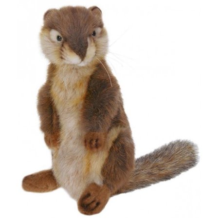 EAN 4806021940716 product image for Hansa Ground Squirrel Plush Toy | upcitemdb.com