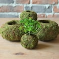 thumbnail image 5 of Moss Decoration Plant Holder Birds Nest For DIY Gardening Decor Ball Flower Pot, 5 of 9