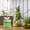A, variant on Goowood Cute Humidifier 320mL Cool Mist Humidifie Mute With 2 Mist For Home/Nursery/ Portable Moisturizer Rechargeable Humidifier Humidifier Home appliances