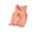 Orange, variant on ShiShine Toddler Boys Girls Cotton Tank Tops Soft Crewneck Undershirts Summer Cute Print Sleeveless Vests Size 3-13T