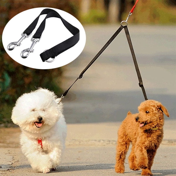 best two dog leash