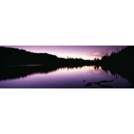 Reflection of trees in a lake Mt Rainier Mt Rainier National Park Pierce County Washington State USA Poster