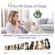 thumbnail image 5 of Collar de adiestramiento para perros Bousnic Shock, impermeable y recargable, 5 of 9