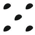 thumbnail image 2 of Guardurnaity Esponja de polvo para lavar la cara, esponja de eliminación cómoda, limpieza Facial portátil, accesorios de eliminación de para Type2 NO2, 2 of 6