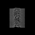 thumbnail image 1 of Unknown Pleasures, 1 of 1