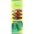 thumbnail image 3 of Garnier Nutrisse Nourishing Color Creme, True Red [66] 1 ea (Pack of 3), 3 of 6