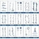 thumbnail image 2 of Siginas Tótem Falsas Impermeables 15pcs Series Flores Y Letras para Adultos, 2 of 9